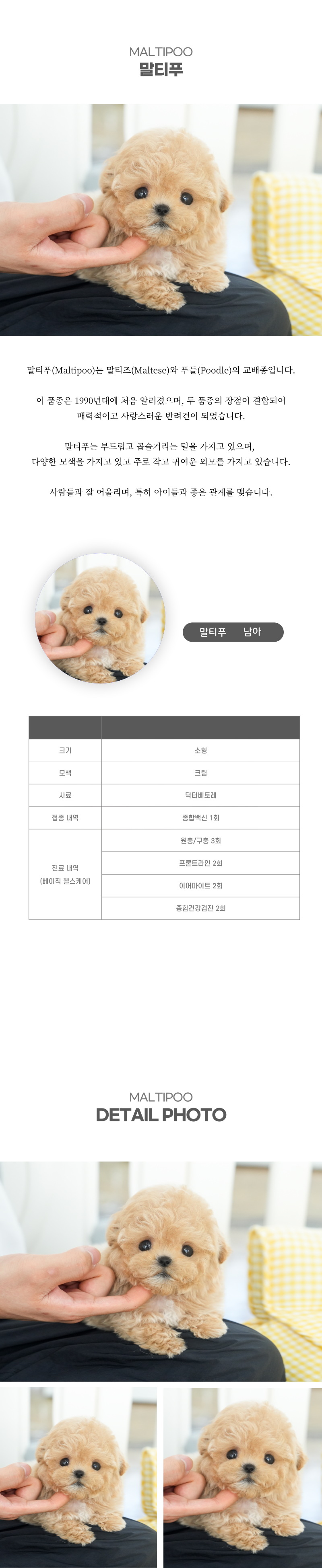 말티푸_상세이미지_2